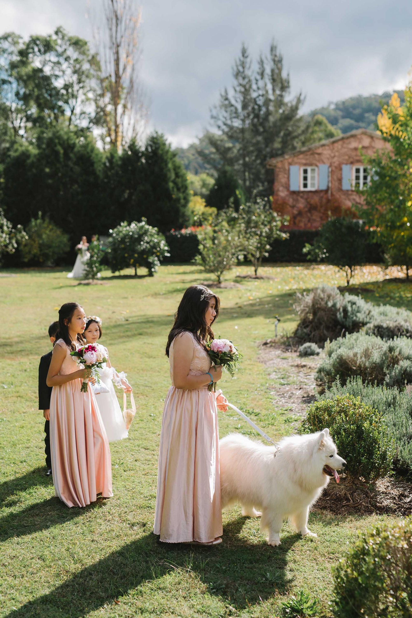 how to include your dog at your elopement
